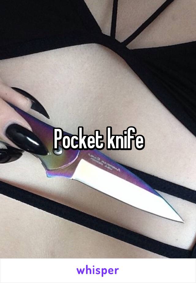 Pocket knife