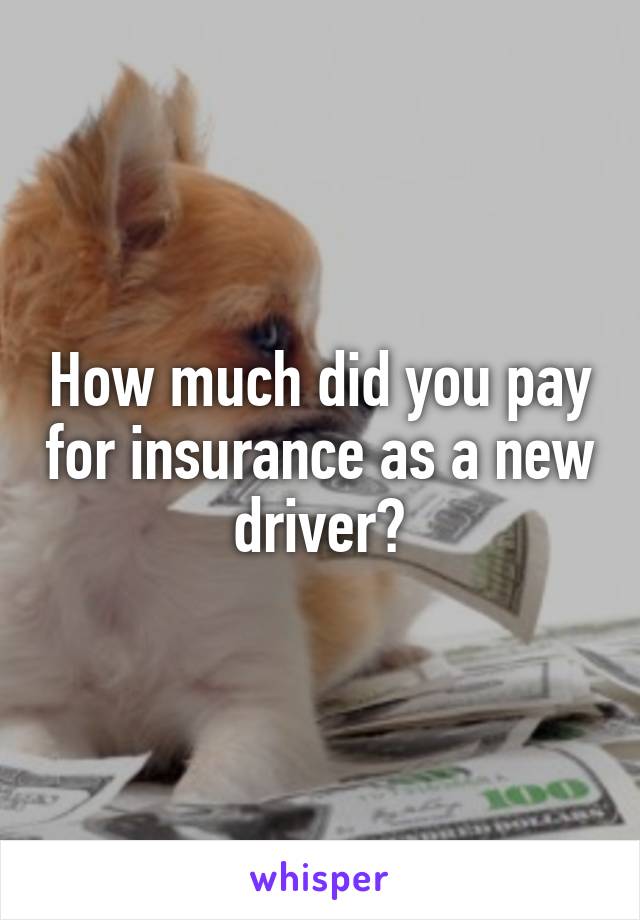 How much did you pay for insurance as a new driver?