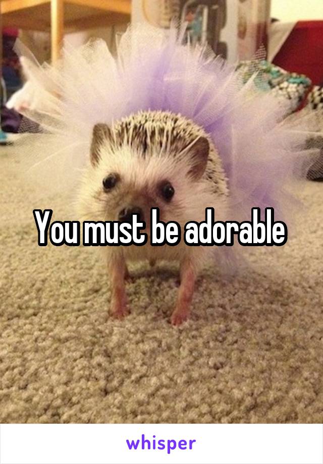 You must be adorable 