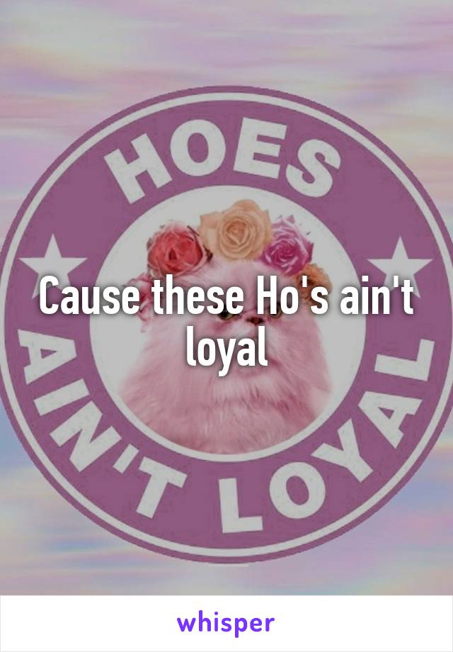 Cause these Ho's ain't loyal