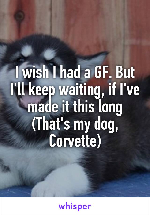 I wish I had a GF. But I'll keep waiting, if I've made it this long
(That's my dog, Corvette)