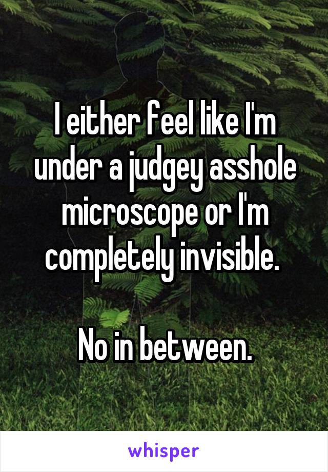 I either feel like I'm under a judgey asshole microscope or I'm completely invisible. 

No in between.