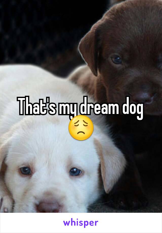 That's my dream dog 😟