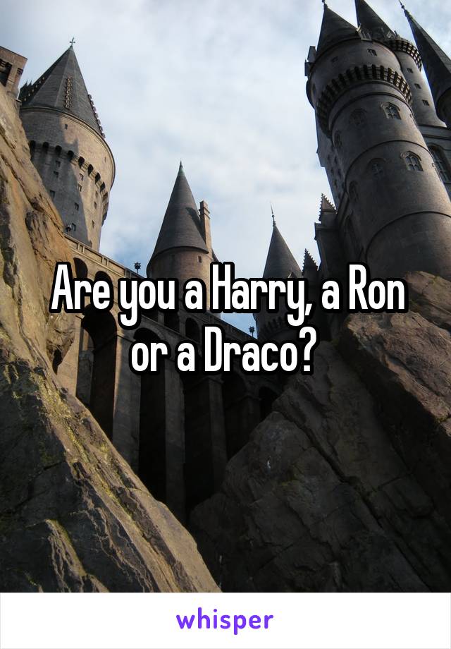 Are you a Harry, a Ron or a Draco? 