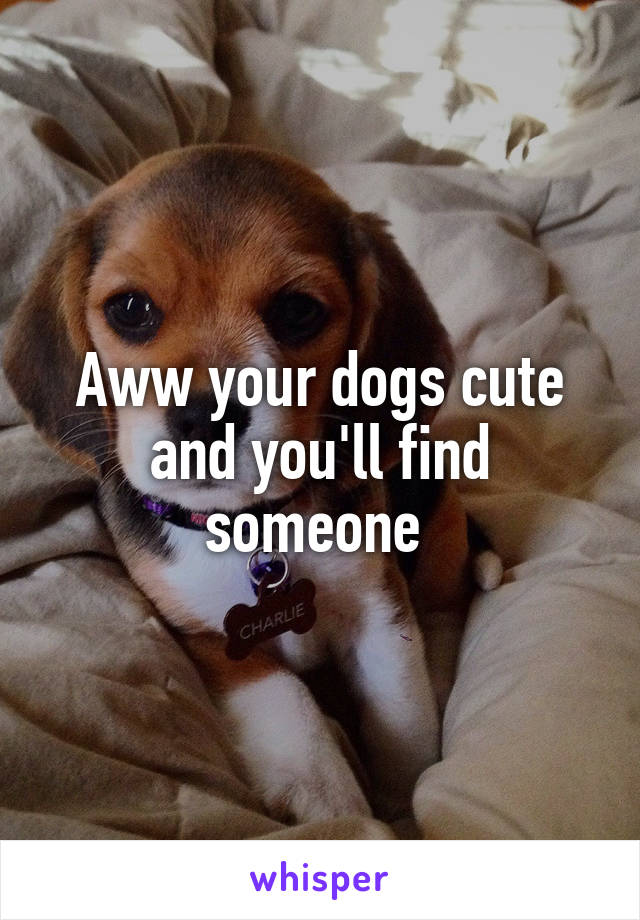 Aww your dogs cute and you'll find someone 