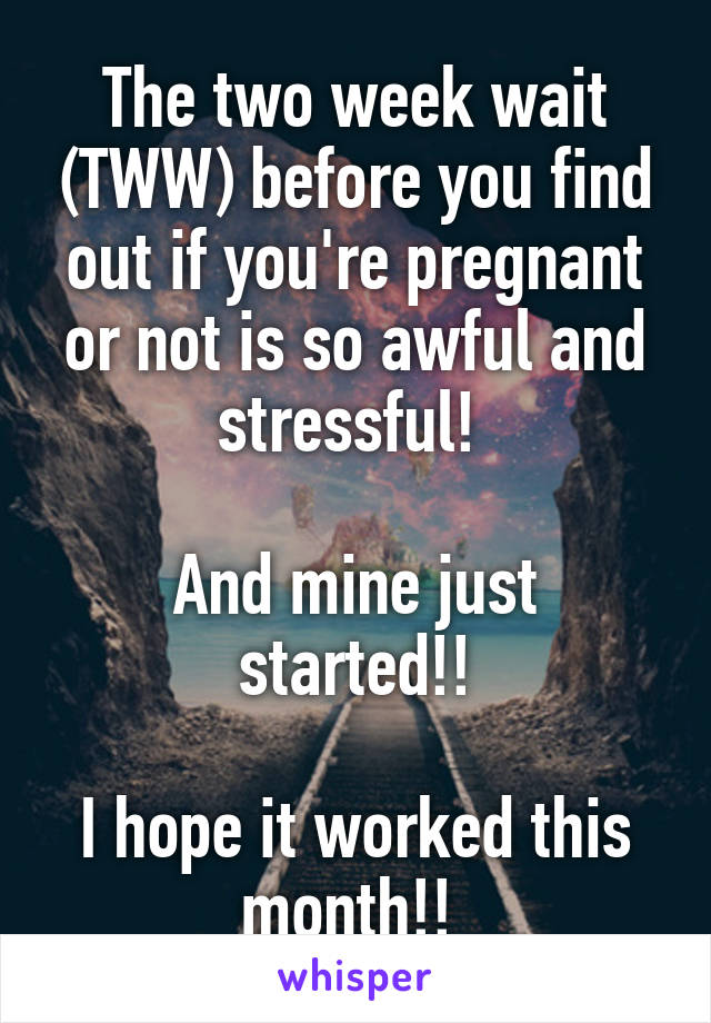 The two week wait (TWW) before you find out if you're pregnant or not is so awful and stressful! 

And mine just started!!

I hope it worked this month!! 