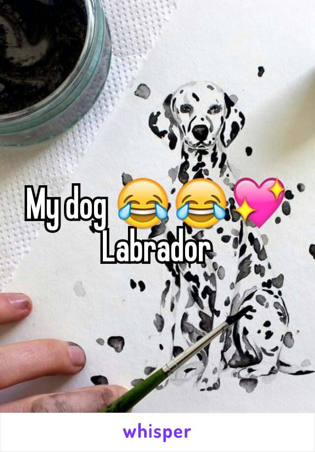 My dog 😂😂💖
Labrador