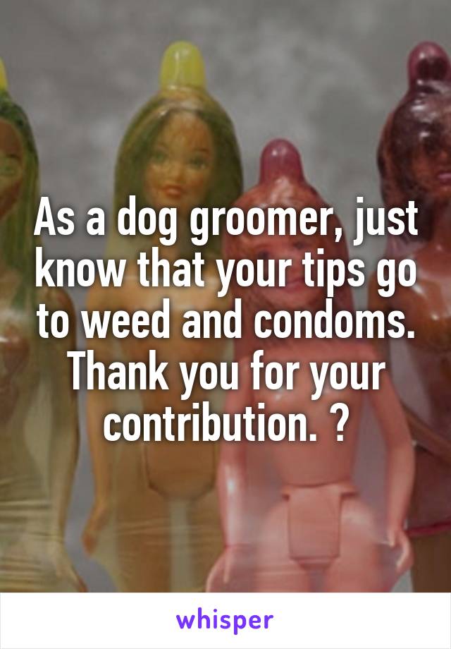 As a dog groomer, just know that your tips go to weed and condoms. Thank you for your contribution. 😂