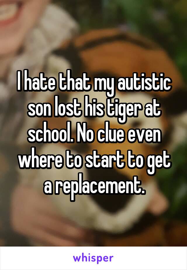 I hate that my autistic son lost his tiger at school. No clue even where to start to get a replacement.