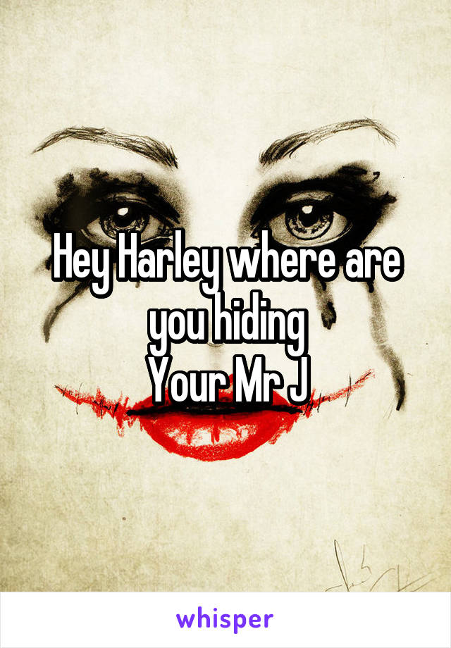 Hey Harley where are you hiding
Your Mr J