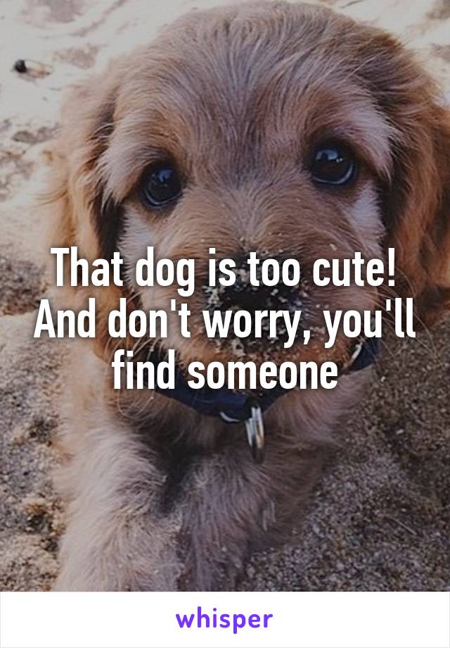 That dog is too cute! And don't worry, you'll find someone