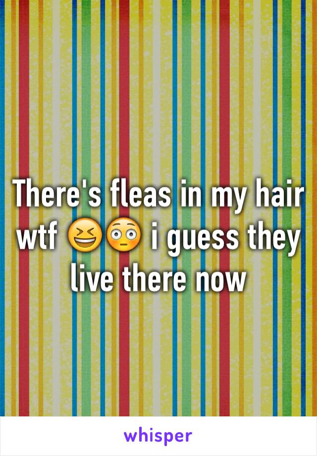 There's fleas in my hair wtf 😆😳 i guess they live there now