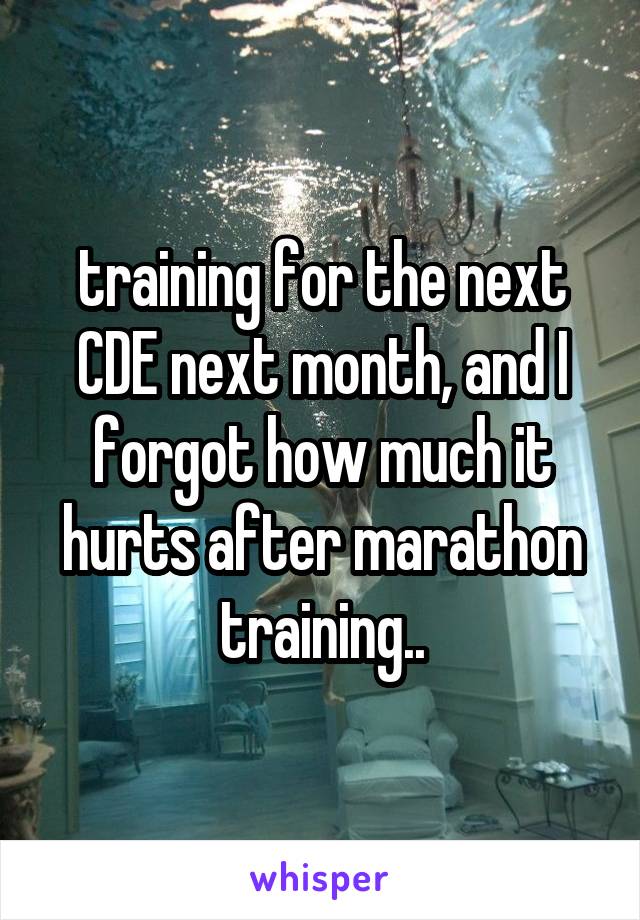 training for the next CDE next month, and I forgot how much it hurts after marathon training..