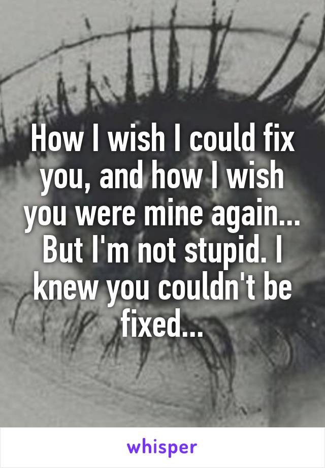 How I wish I could fix you, and how I wish you were mine again... But I'm not stupid. I knew you couldn't be fixed...