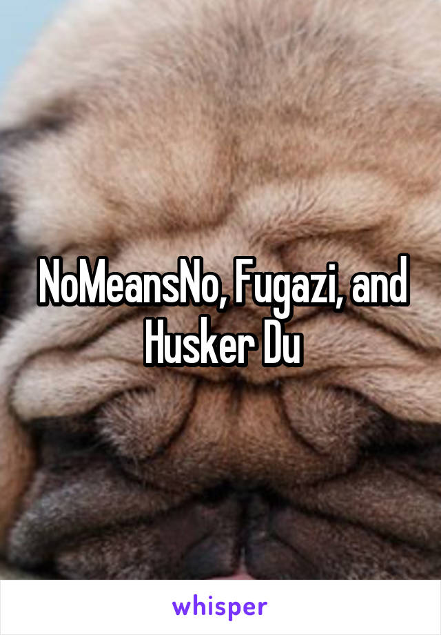 NoMeansNo, Fugazi, and Husker Du