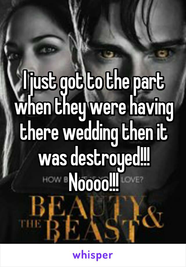 I just got to the part when they were having there wedding then it was destroyed!!! Noooo!!!
