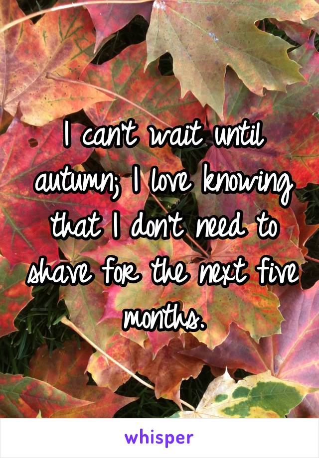 I can't wait until autumn; I love knowing that I don't need to shave for the next five months.