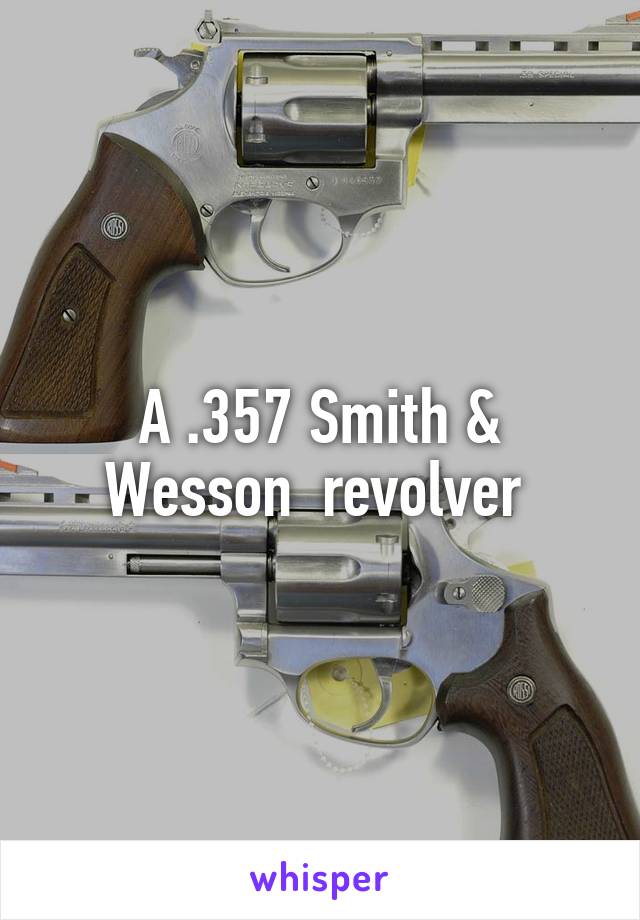 A .357 Smith & Wesson  revolver 