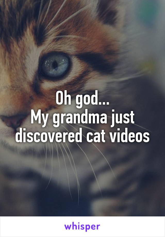 Oh god...
My grandma just discovered cat videos