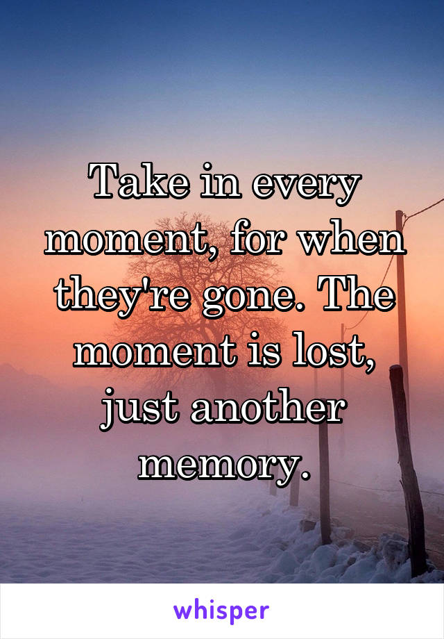 Take in every moment, for when they're gone. The moment is lost, just another memory.