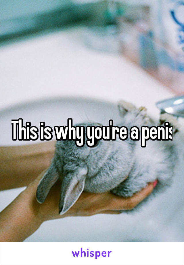 This is why you're a penis