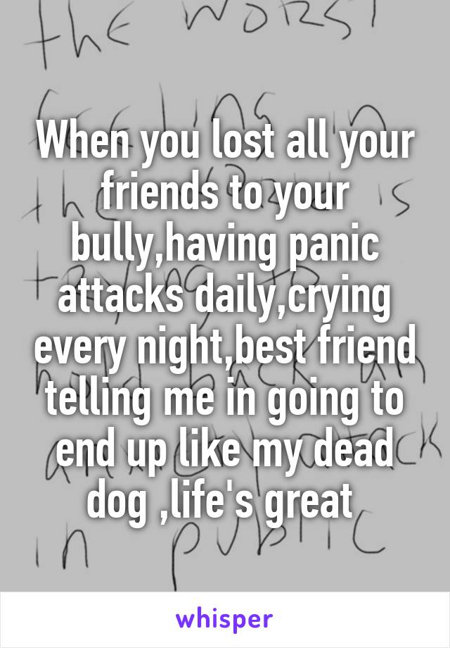 When you lost all your friends to your bully,having panic attacks daily,crying every night,best friend telling me in going to end up like my dead dog ,life's great 