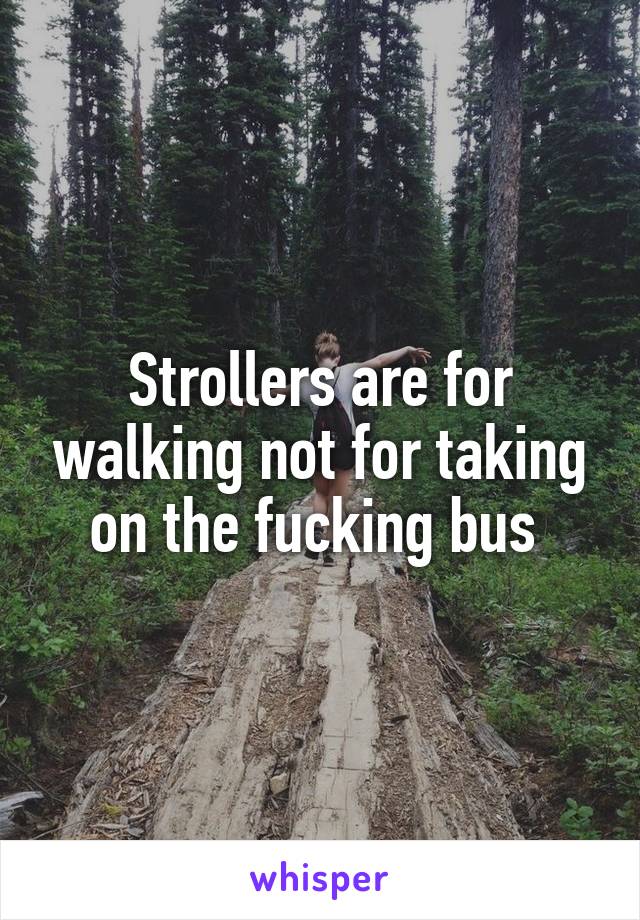 Strollers are for walking not for taking on the fucking bus 