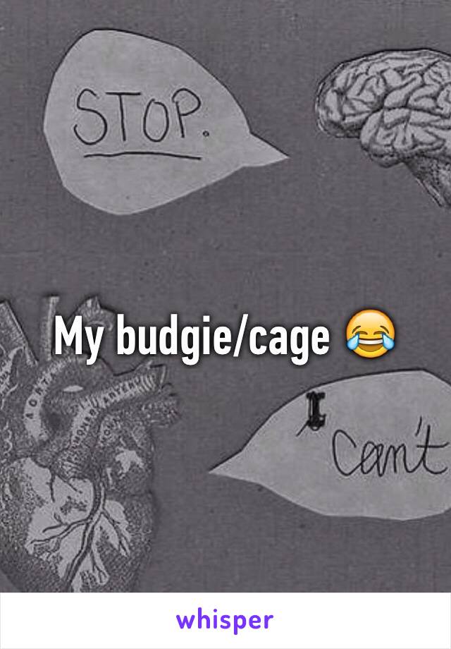 My budgie/cage 😂