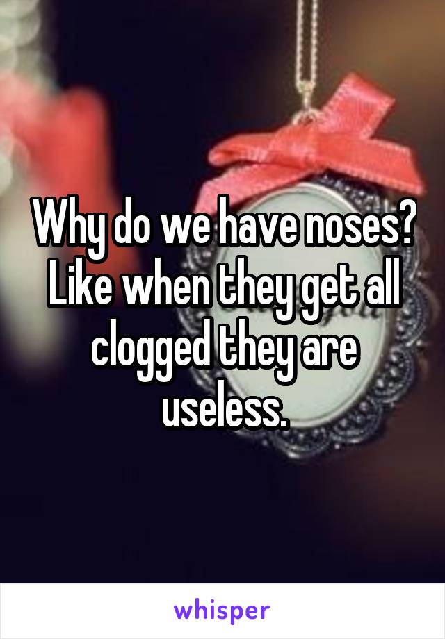 Why do we have noses? Like when they get all clogged they are useless.