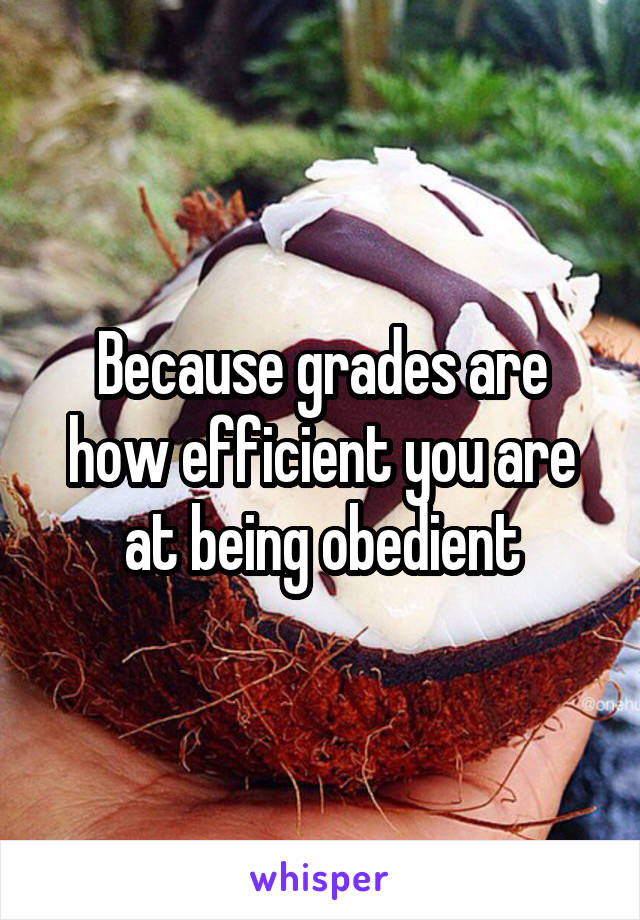 Because grades are how efficient you are at being obedient