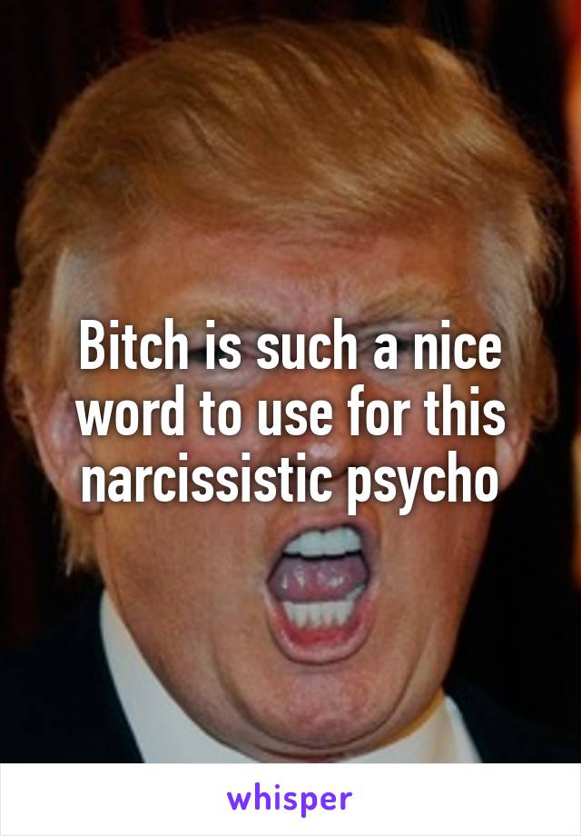 Bitch is such a nice word to use for this narcissistic psycho