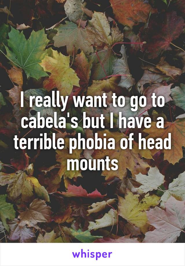 I really want to go to cabela's but I have a terrible phobia of head mounts