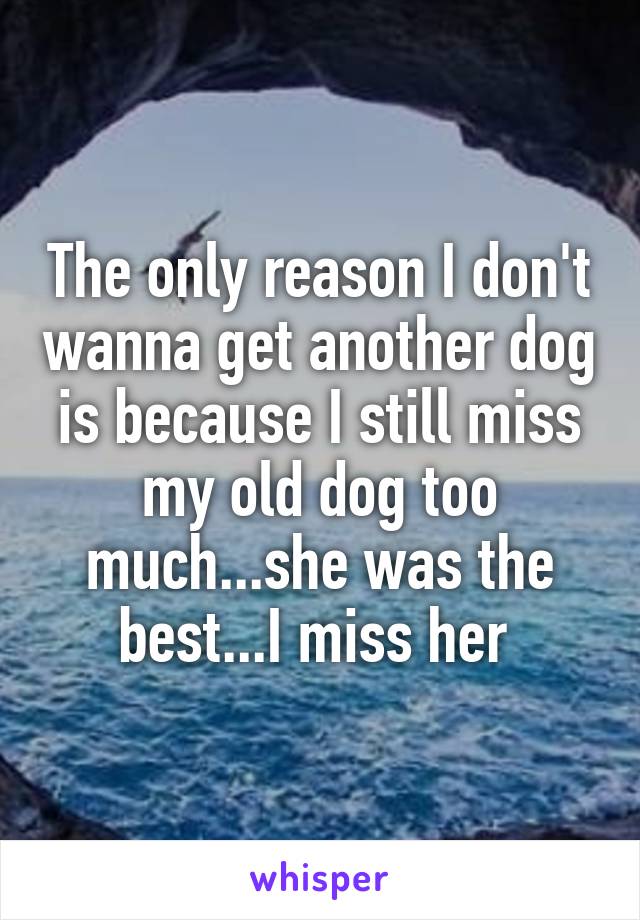 The only reason I don't wanna get another dog is because I still miss my old dog too much...she was the best...I miss her 