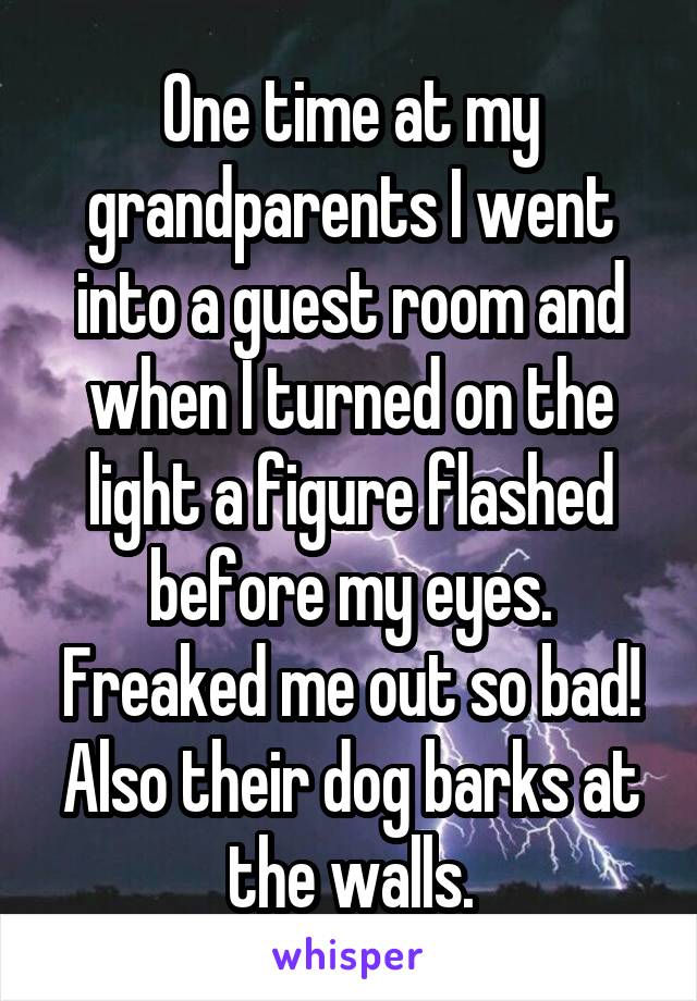 One time at my grandparents I went into a guest room and when I turned on the light a figure flashed before my eyes. Freaked me out so bad! Also their dog barks at the walls.