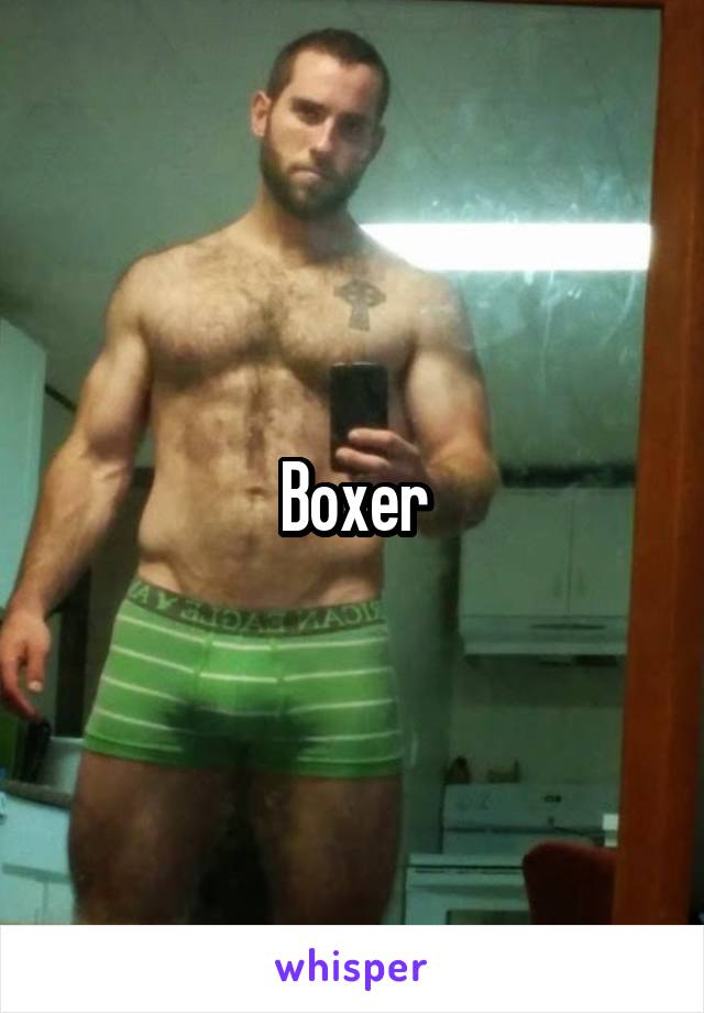 Boxer