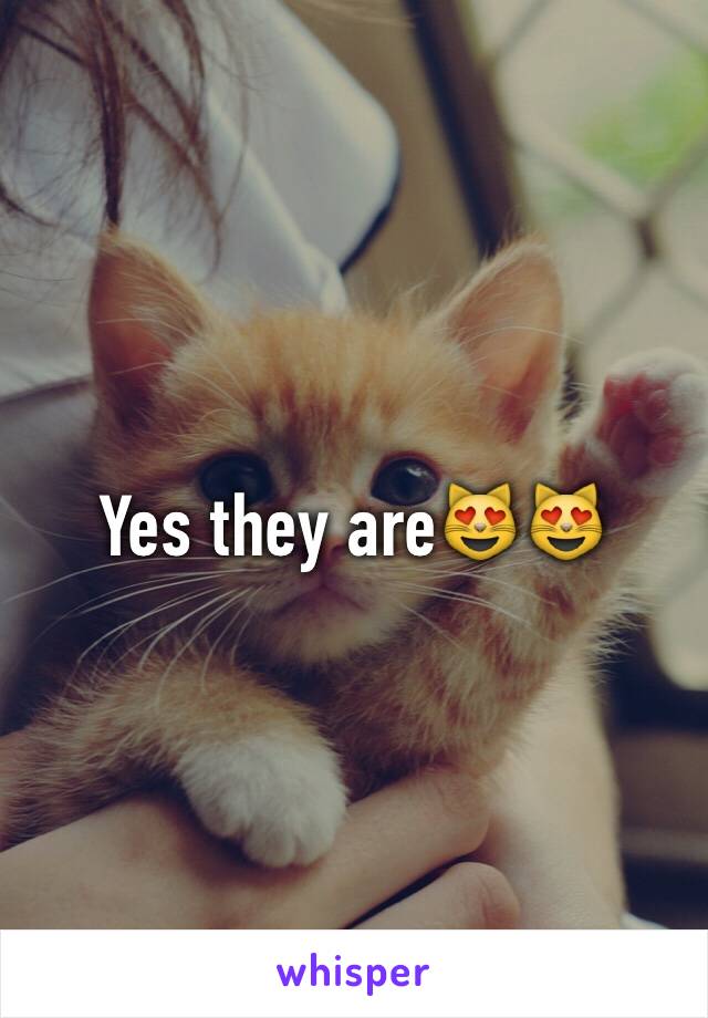 Yes they are😻😻