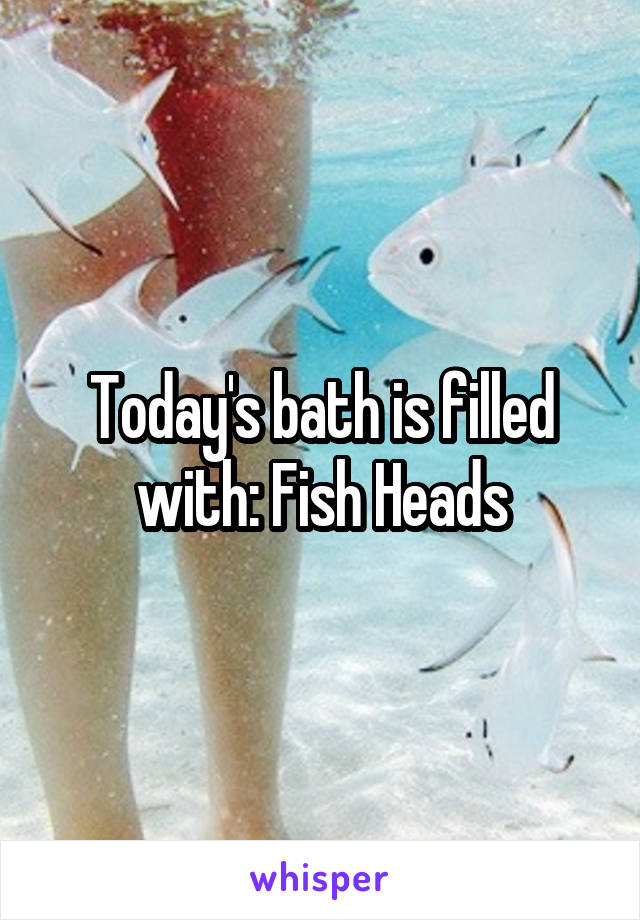 Today's bath is filled with: Fish Heads