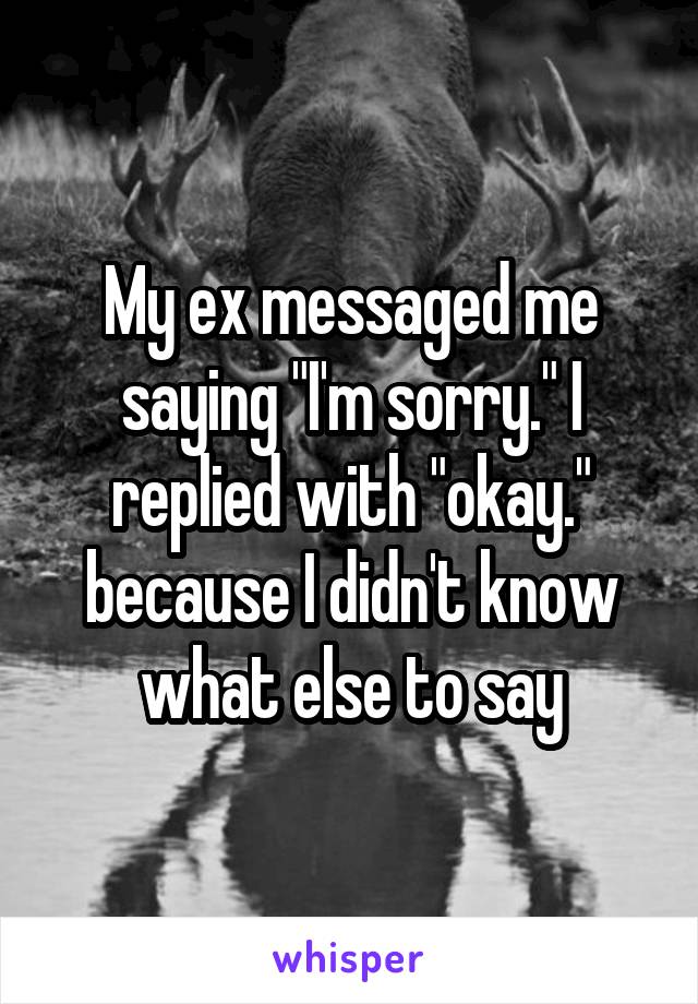 My ex messaged me saying "I'm sorry." I replied with "okay." because I didn't know what else to say