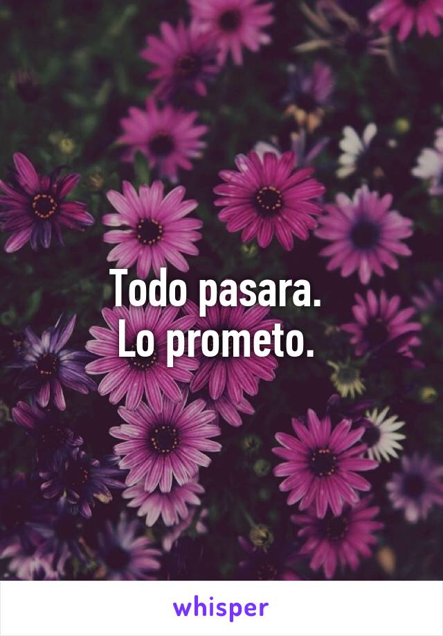 Todo pasara. 
Lo prometo. 