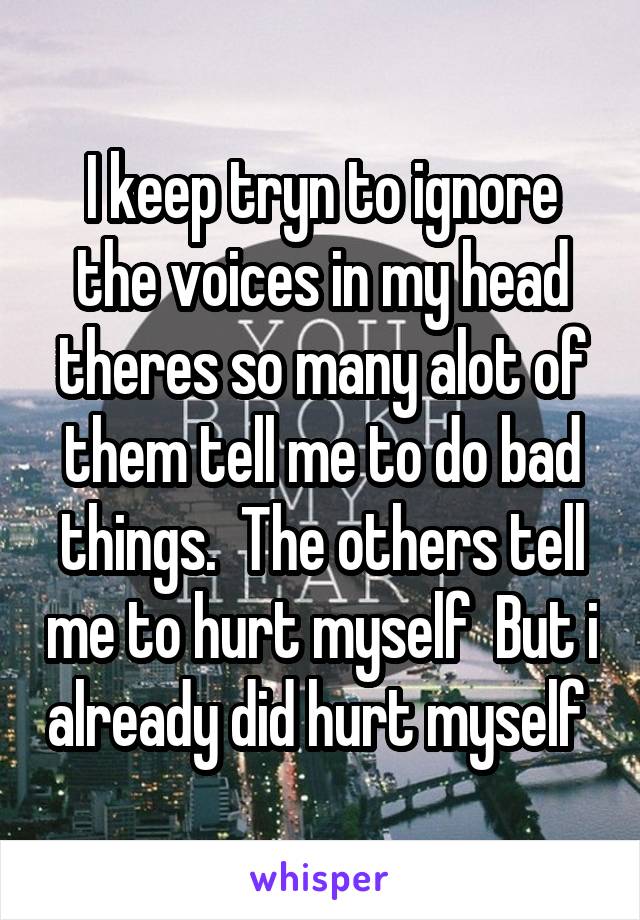 I keep tryn to ignore the voices in my head theres so many alot of them tell me to do bad things.  The others tell me to hurt myself  But i already did hurt myself 