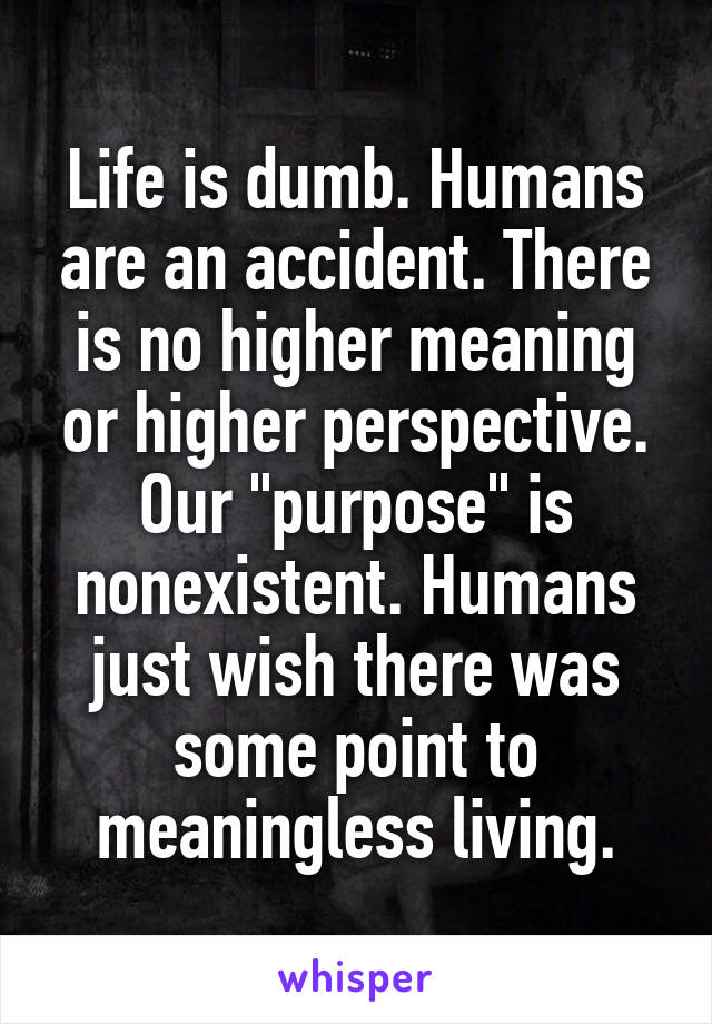 Life is dumb. Humans are an accident. There is no higher meaning or higher perspective. Our "purpose" is nonexistent. Humans just wish there was some point to meaningless living.