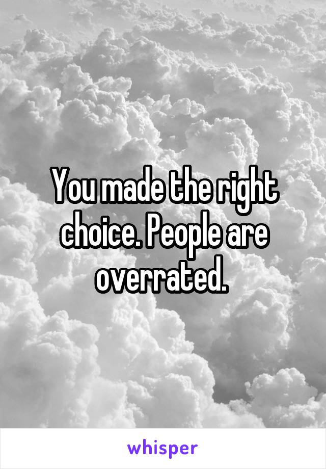 You made the right choice. People are overrated. 