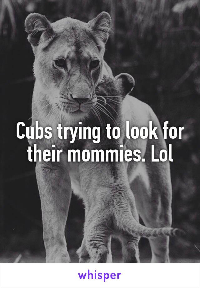 Cubs trying to look for their mommies. Lol