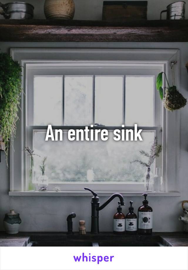 An entire sink