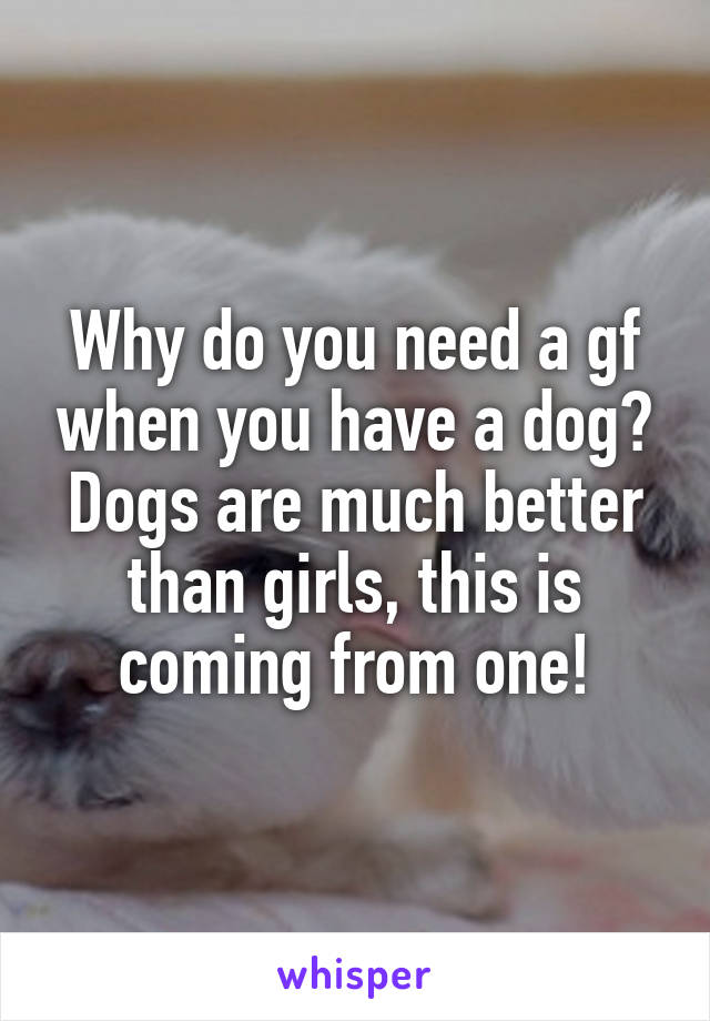 Why do you need a gf when you have a dog? Dogs are much better than girls, this is coming from one!