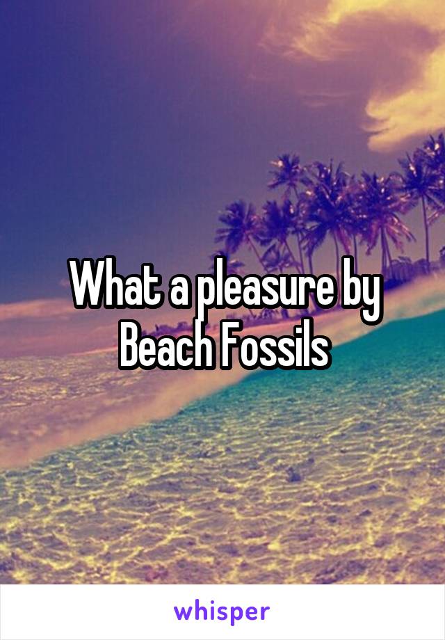 What a pleasure by Beach Fossils