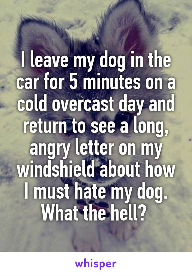 I leave my dog in the car for 5 minutes on a cold overcast day and return to see a long, angry letter on my windshield about how I must hate my dog. What the hell? 