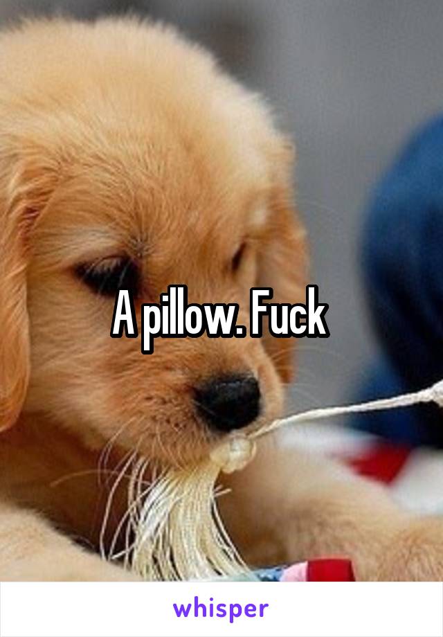 A pillow. Fuck 