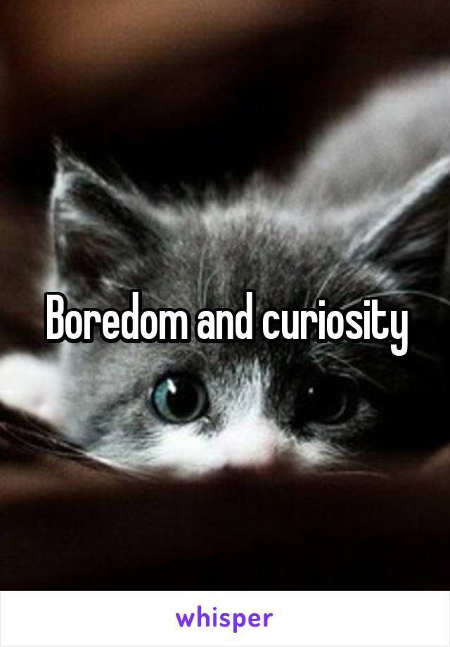 Boredom and curiosity