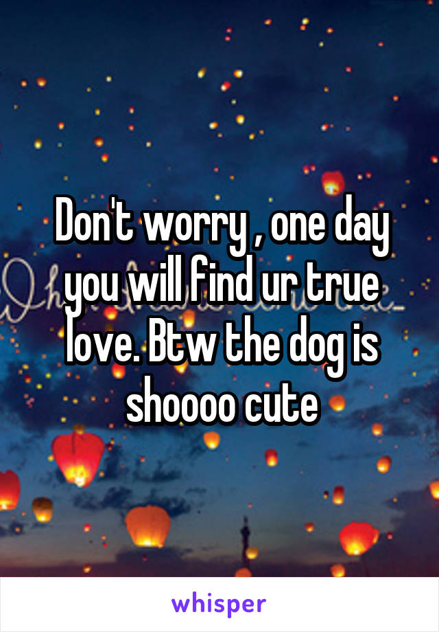 Don't worry , one day you will find ur true love. Btw the dog is shoooo cute